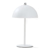 Witte kleur